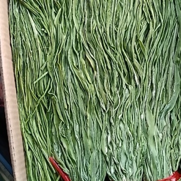 干贡菜