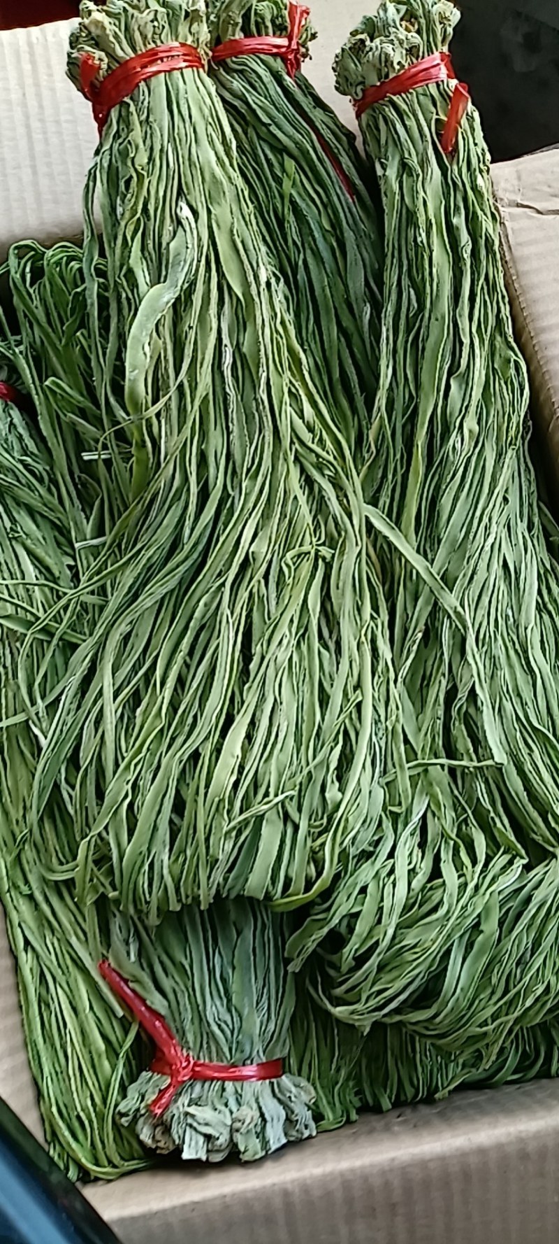 干贡菜