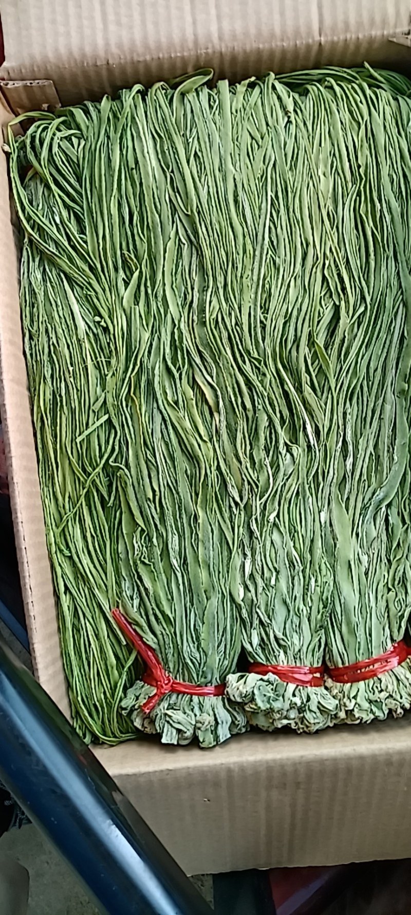 干贡菜