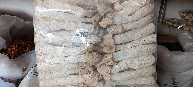 干竹荪