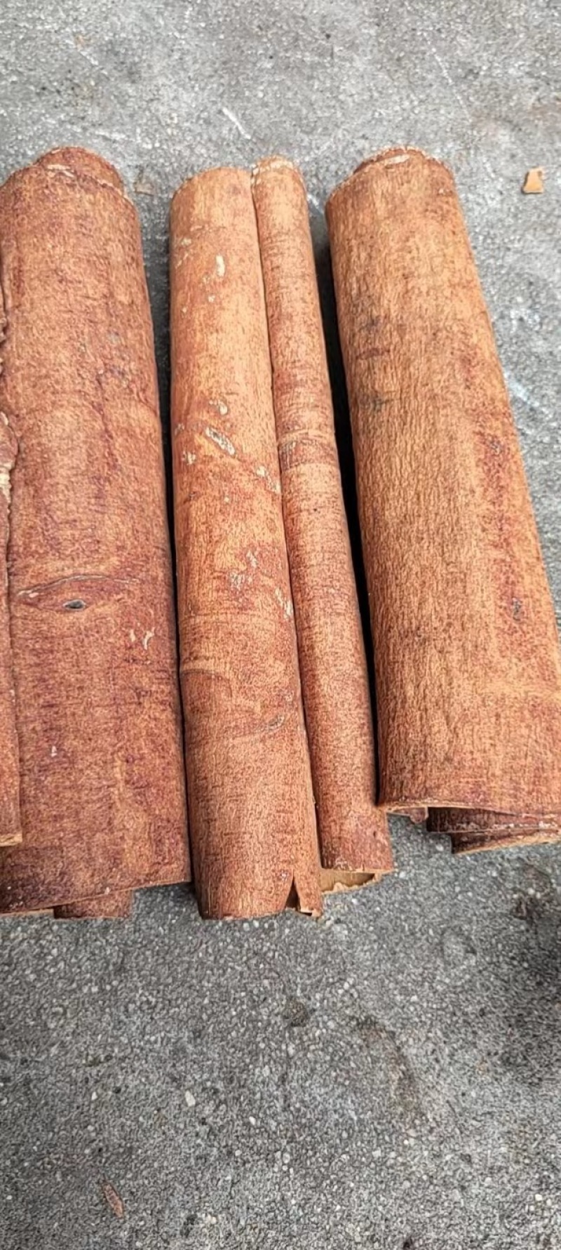 去皮肉桂广西产地直发新货大量有货可批发零售