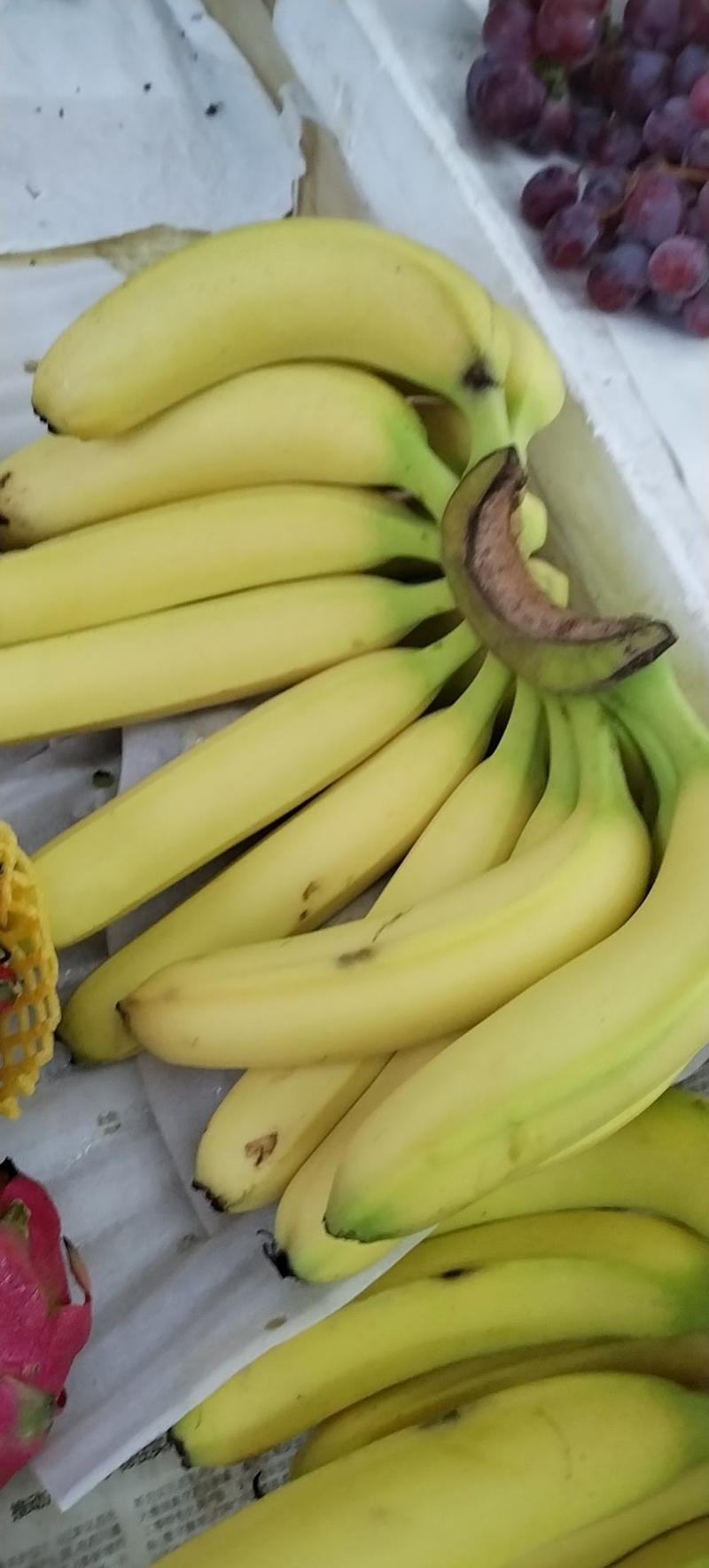 香蕉大量出货，大黄，二黄，生蕉都有，软糯香甜，量大从优！