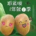 猕猴桃品质有保障，诚信经营，量大从优，欢迎选购