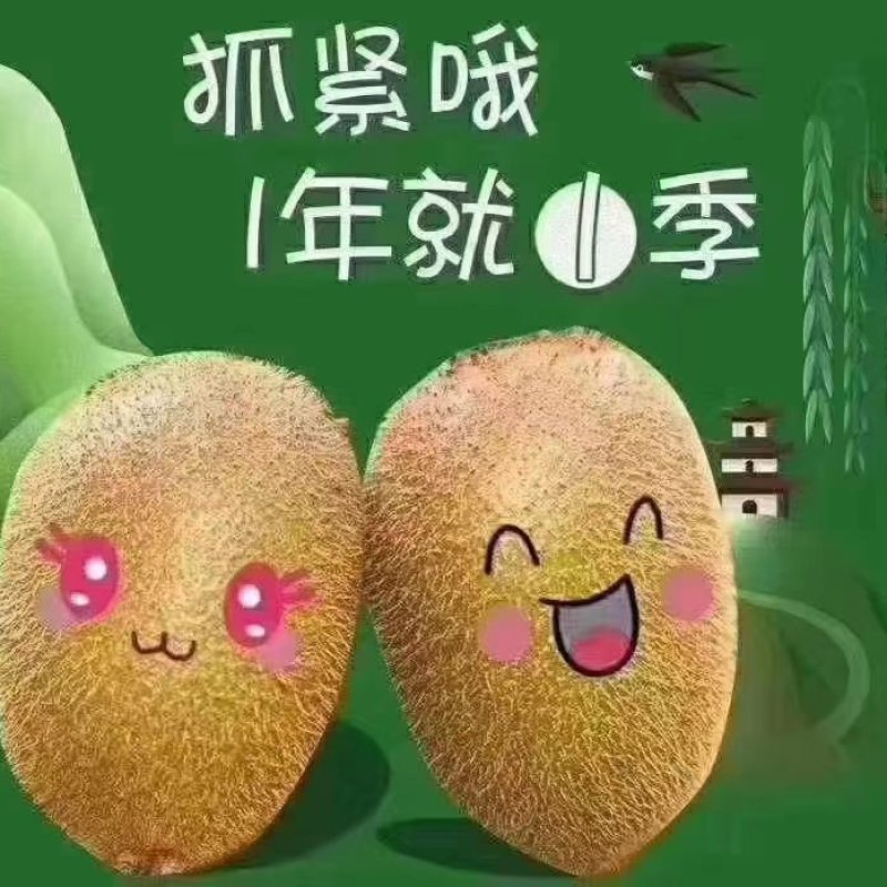 猕猴桃品质有保障，诚信经营，量大从优，欢迎选购