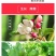 现摘青苹果净重9斤新鲜水果酸甜平果孕妇水果脆甜丑平果