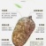 昭通小草坝天麻。，现挖现卖。正宗。大量供应，大量批发。