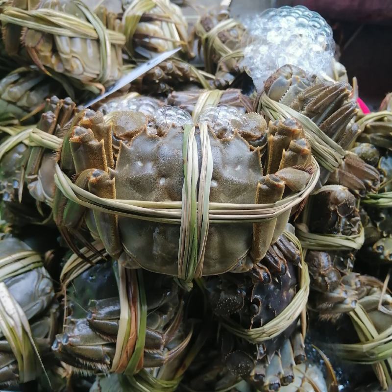 江苏大闸蟹肉质饱满青壳白肚一手货源产地直发鲜活兴化河蟹