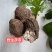 云南药材野生茯苓个500克包邮泡汤泡水