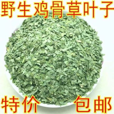 【好货】野生鸡骨草叶子大量有货欢迎咨询下单包邮