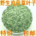 【好货】野生鸡骨草叶子大量有货欢迎咨询下单包邮