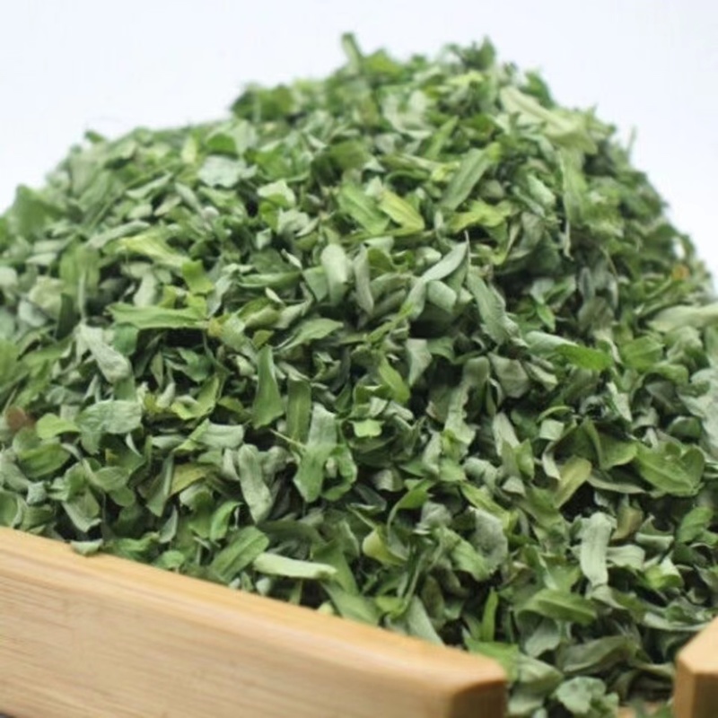 【好货】野生鸡骨草叶子大量有货欢迎咨询下单包邮