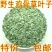 【好货】野生鸡骨草叶子大量有货欢迎咨询下单包邮