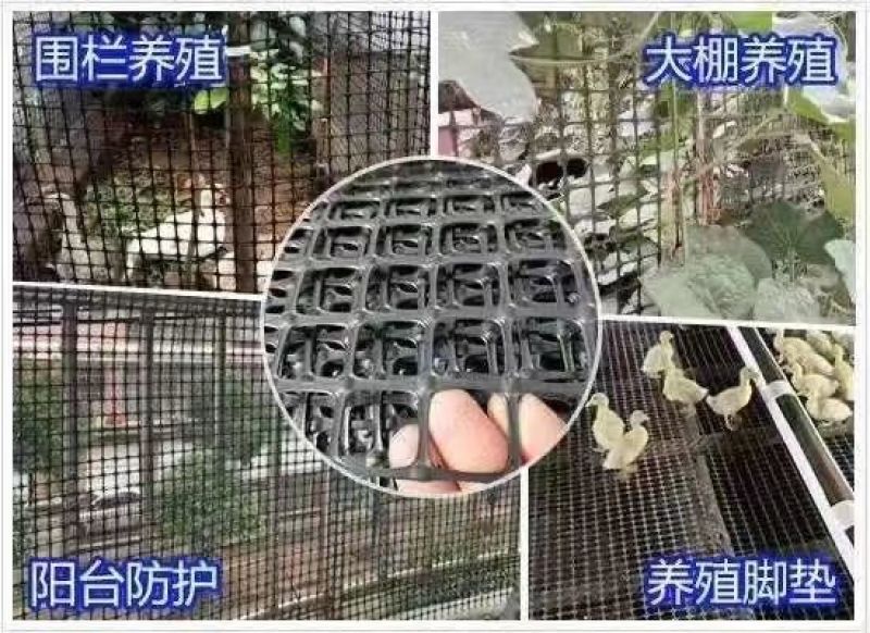 加厚养鸡鸭塑料围栏网养殖网圈果园鱼塘圈地防护网格玉米网批