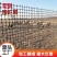 加厚养鸡鸭塑料围栏网养殖网圈果园鱼塘圈地防护网格玉米网批