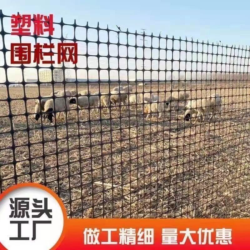 加厚养鸡鸭塑料围栏网养殖网圈果园鱼塘圈地防护网格玉米网批