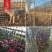 加厚养鸡鸭塑料围栏网养殖网圈果园鱼塘圈地防护网格玉米网批