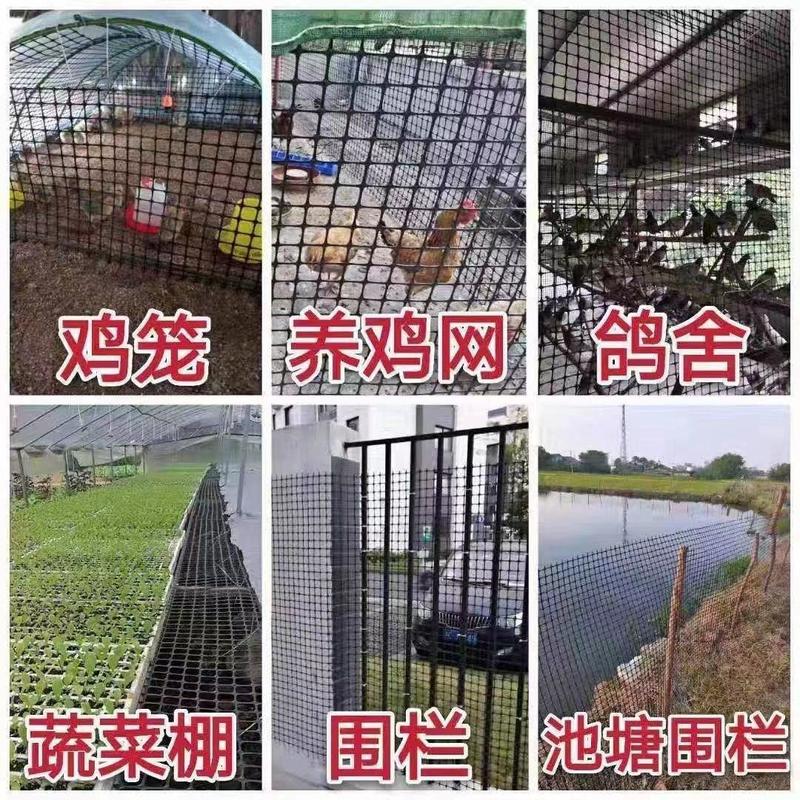 加厚养鸡鸭塑料围栏网养殖网圈果园鱼塘圈地防护网格玉米网批