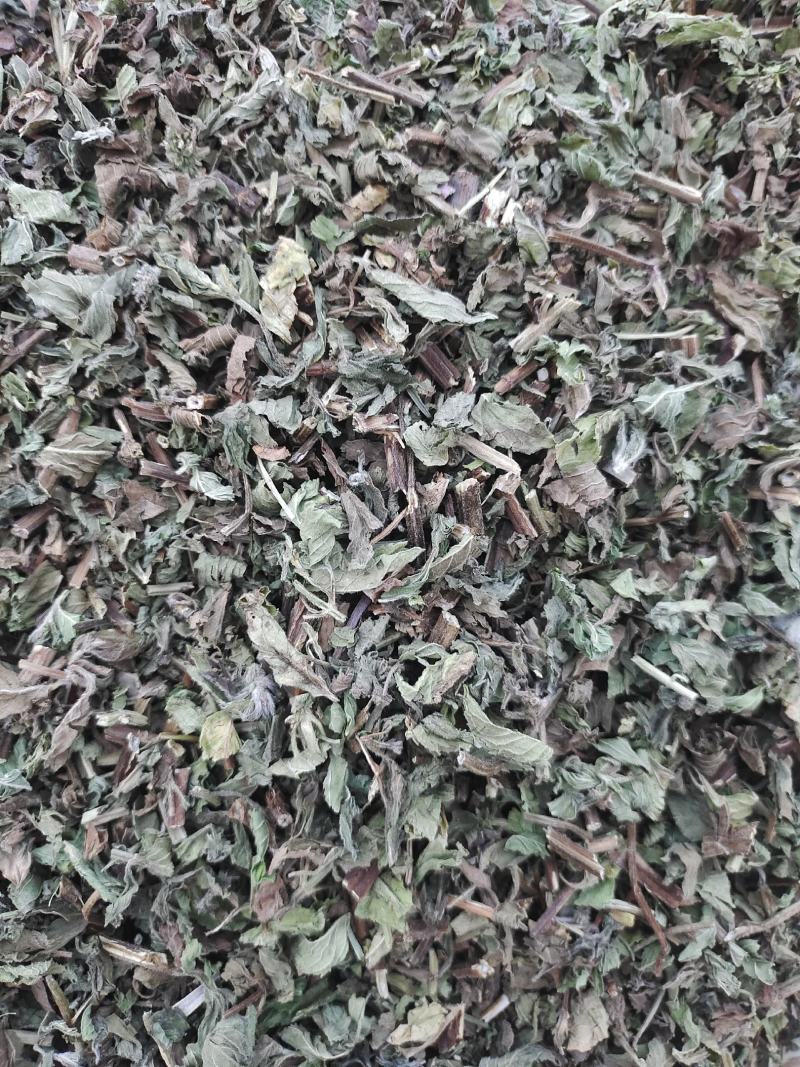 薄荷头茬饮片