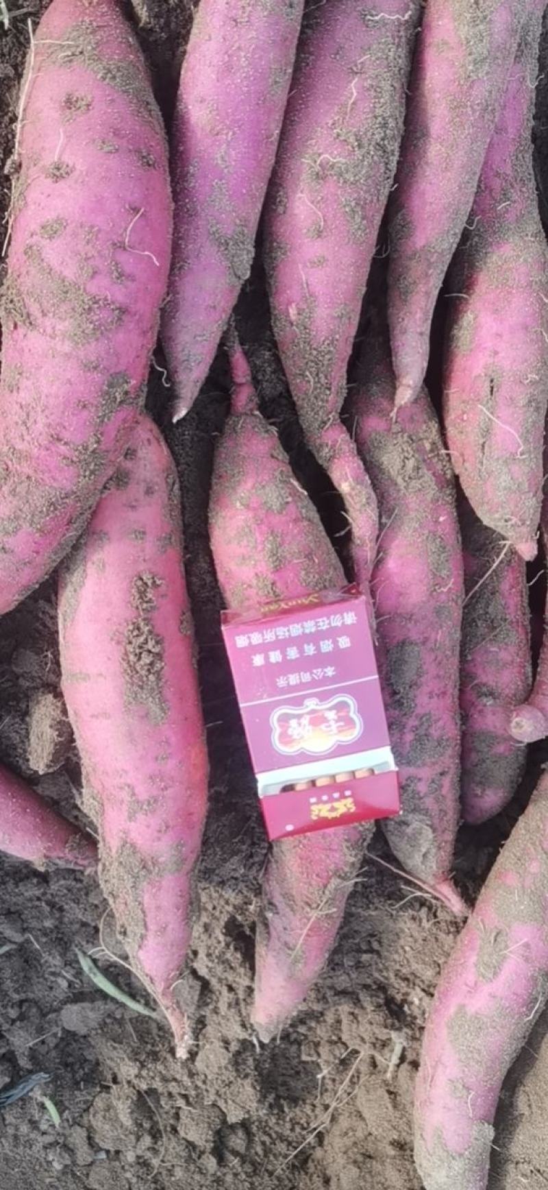 西瓜红