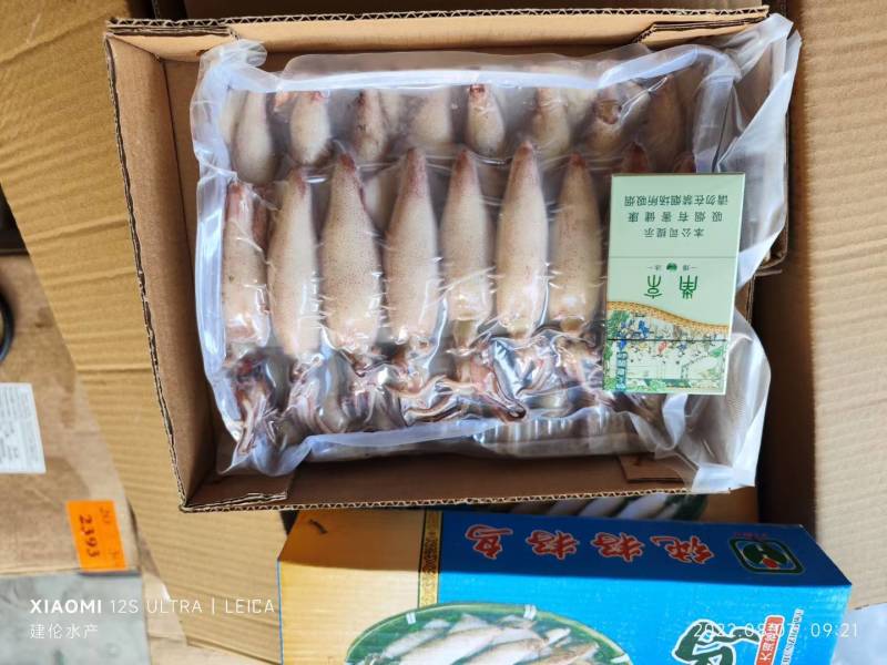 真籽，人工籽，大小规格海兔，笔管鱼，捞汁，饭店批发
