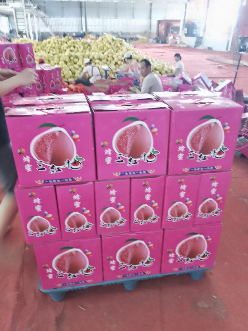蜜柚