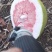 蜜柚