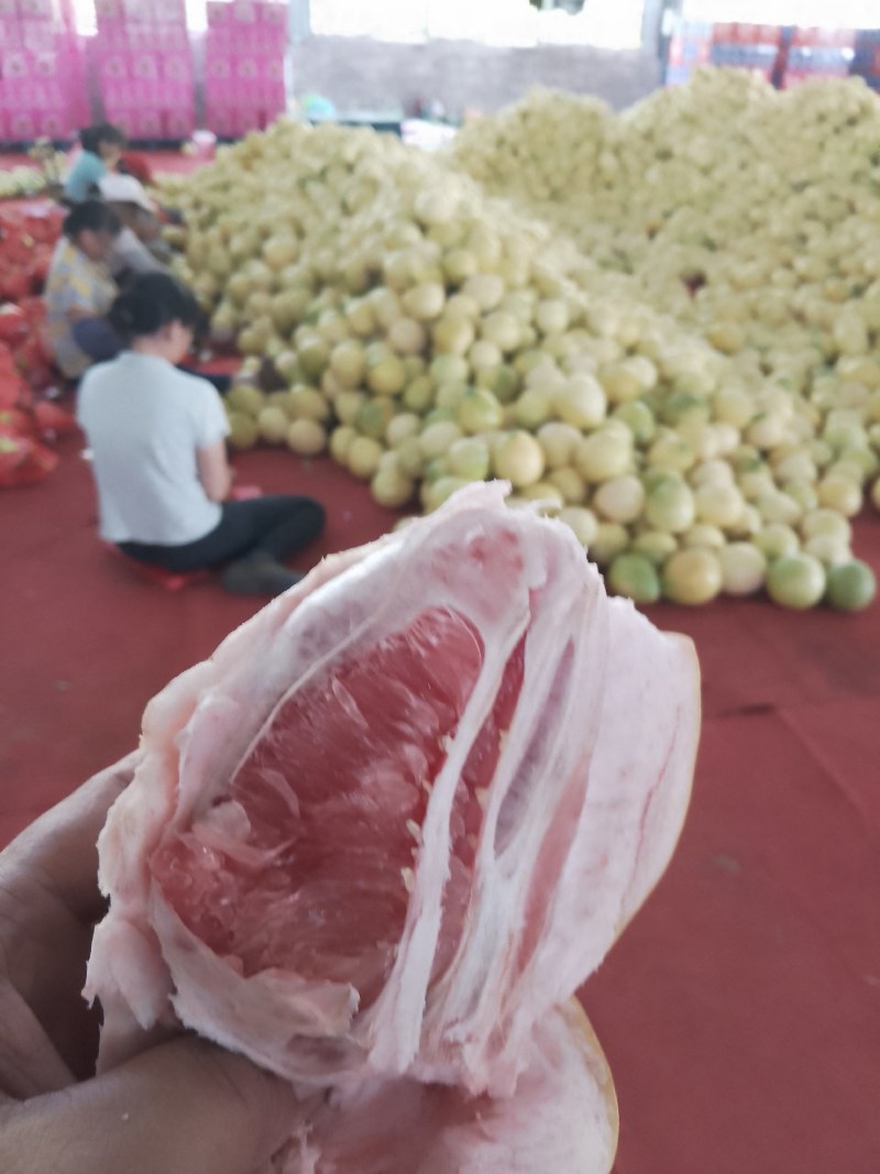 蜜柚