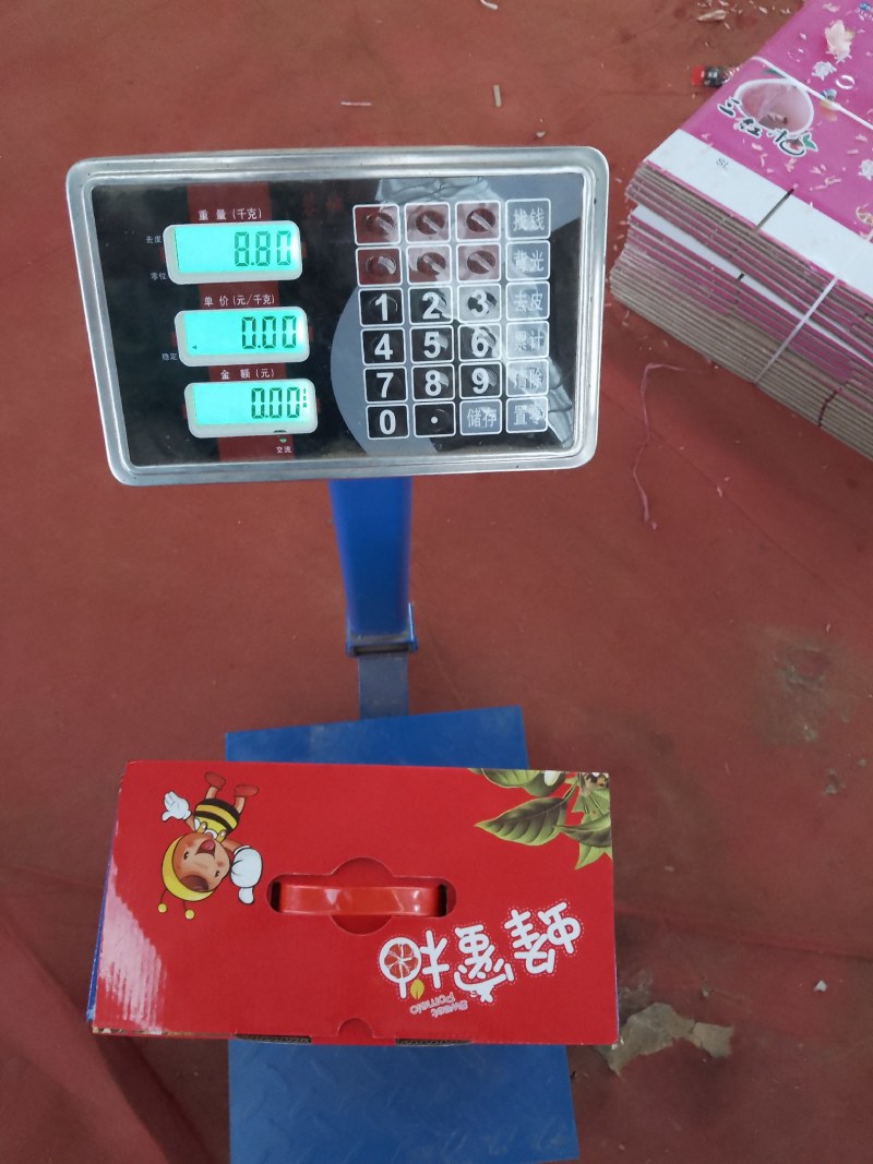 蜜柚