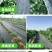 除草布，打孔除草布