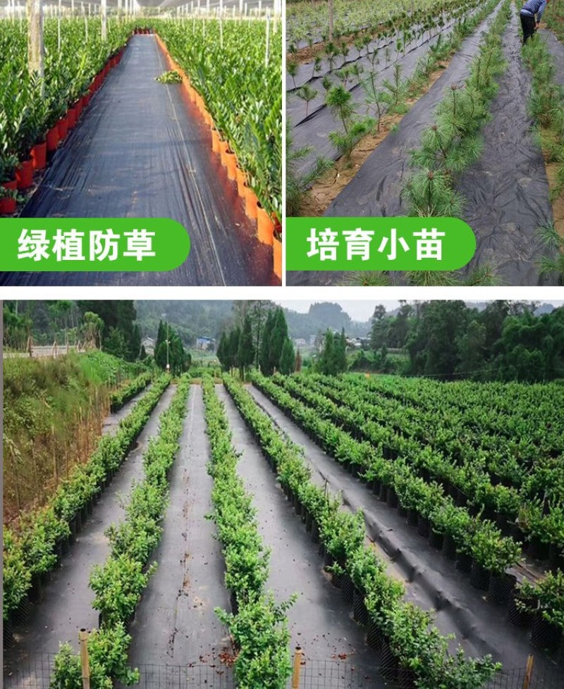 除草布，打孔除草布