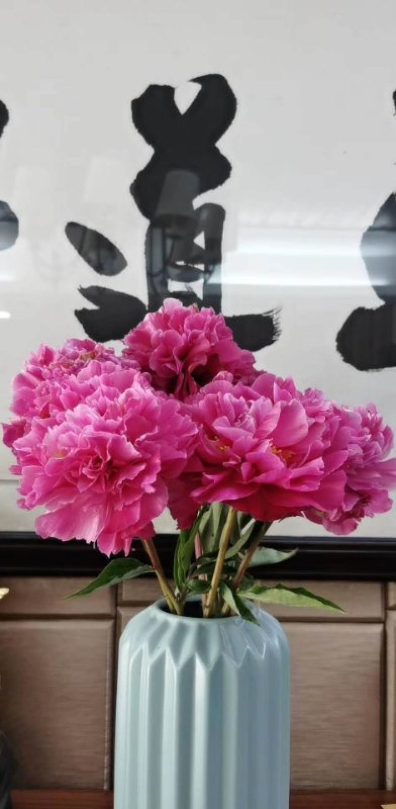 正宗菏泽观赏芍药
