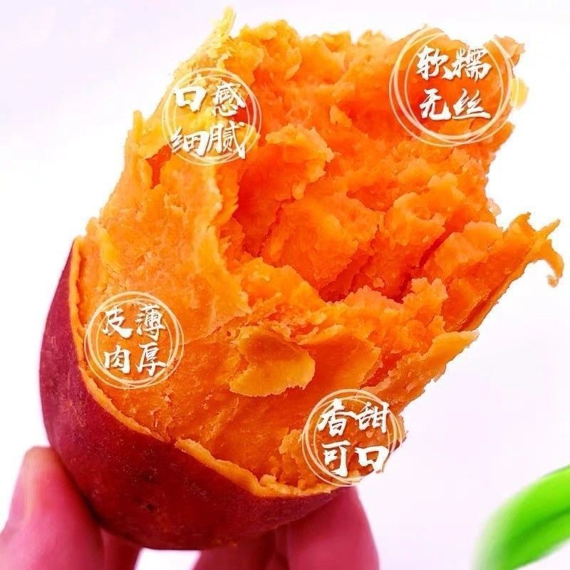 大吨位龙九，便宜卖了。要求你定，质量我把控！
