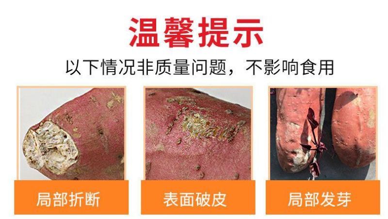 红薯大量供应，承接电商打包发货。社区团购，工厂货欢迎致电