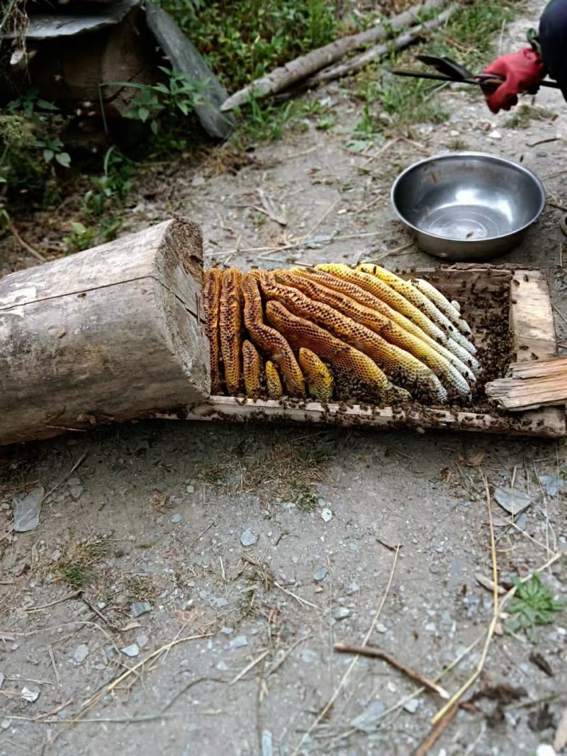 土蜂蜜