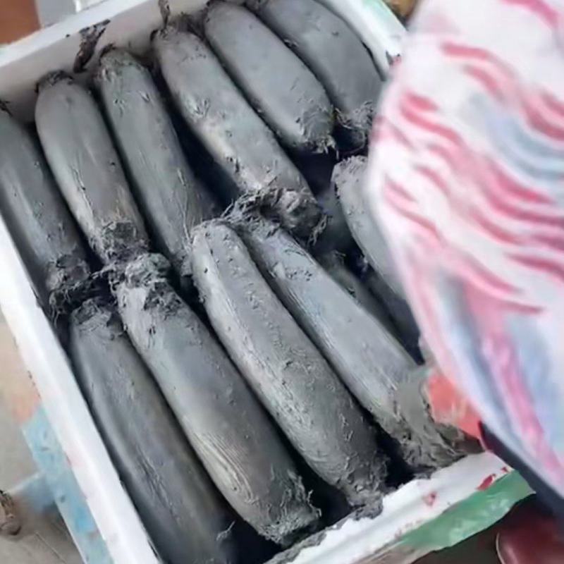 洪湖莲藕大量上市，货源充足，量大价优，欢迎采购