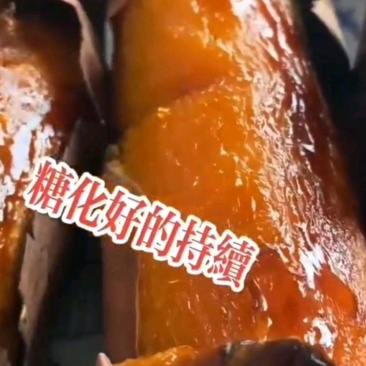 烟薯25商品薯红心规格齐全一条龙服品质保障