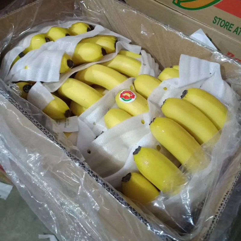 优质基地香蕉果面干净把型漂亮口感糯甜不硬心金黄色