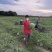 种植露天8424西瓜百多亩现有熟瓜20多万斤急需卖出