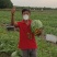种植露天8424西瓜百多亩现有熟瓜20多万斤急需卖出
