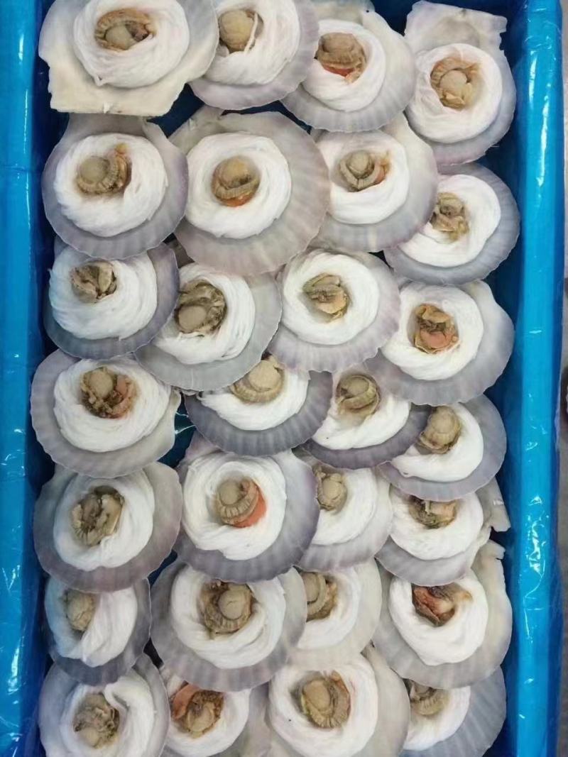 蒜蓉粉丝扇贝真空包装六只装/袋鲜冻蒜蓉粉丝扇贝