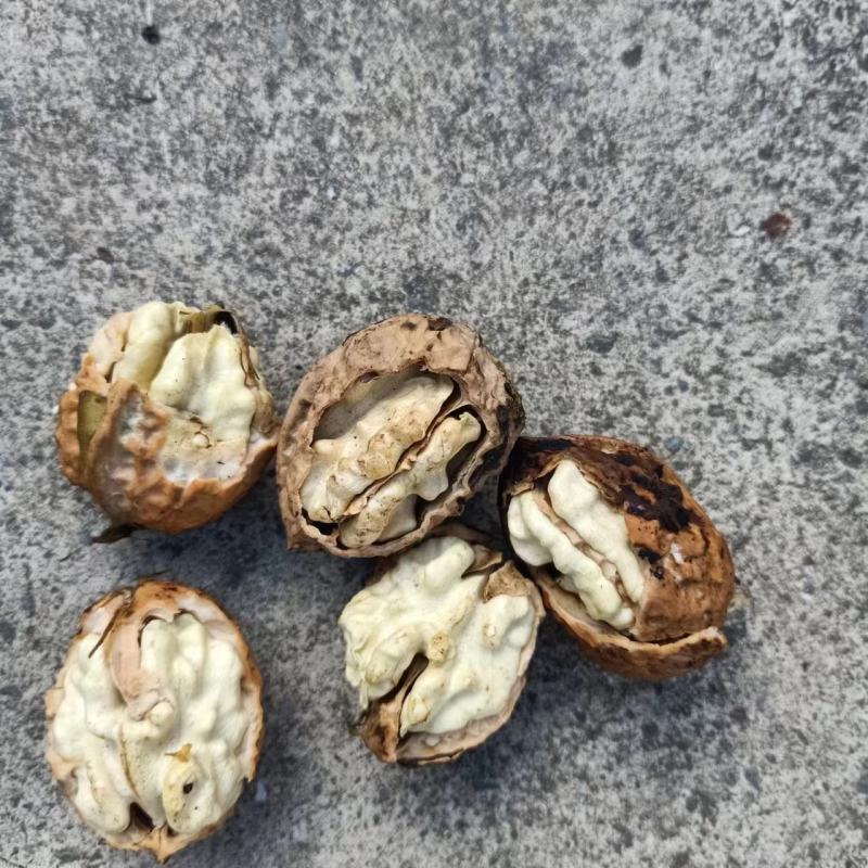 鲜核桃，鸡蛋皮核桃，青核桃，云南产地货源，价格合理，电联