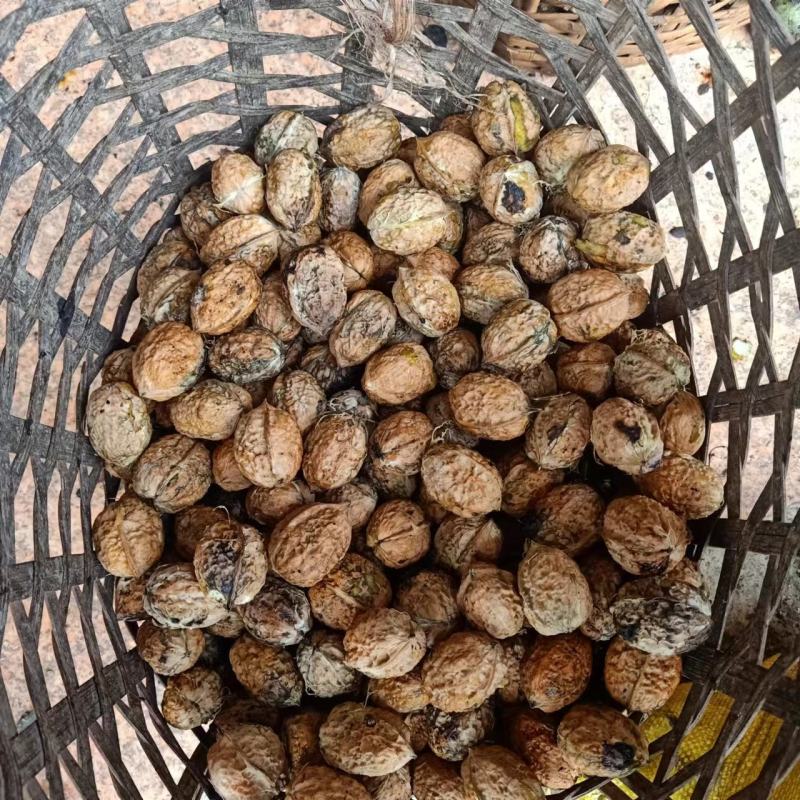 鲜核桃，鸡蛋皮核桃，青核桃，云南产地货源，价格合理，电联