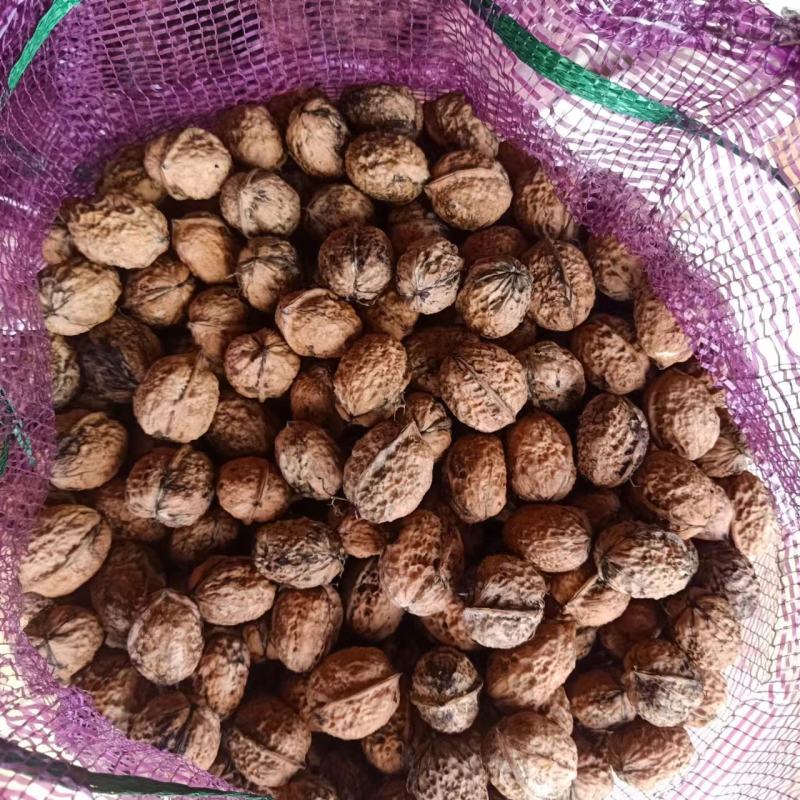 鲜核桃，鸡蛋皮核桃，青核桃，云南产地货源，价格合理，电联
