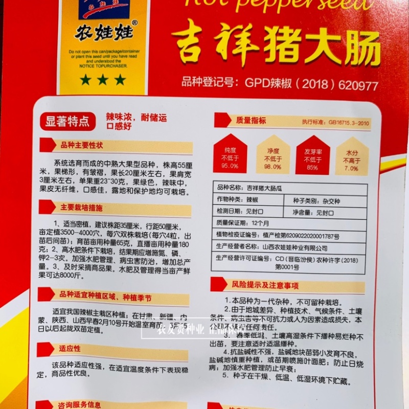 22号尖椒换代品种吉祥猪大肠尖椒辣椒种子螺丝椒种子