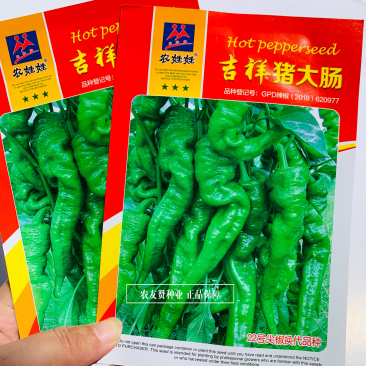 22号尖椒换代品种吉祥猪大肠尖椒辣椒种子螺丝椒种子