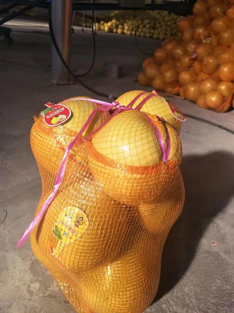 三红柚，湖南柚子，湖南三红柚，产地发货，对接大型批发商