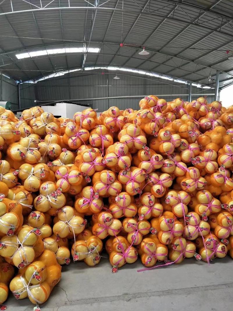 三红柚，湖南柚子，湖南三红柚，产地发货，对接大型批发商