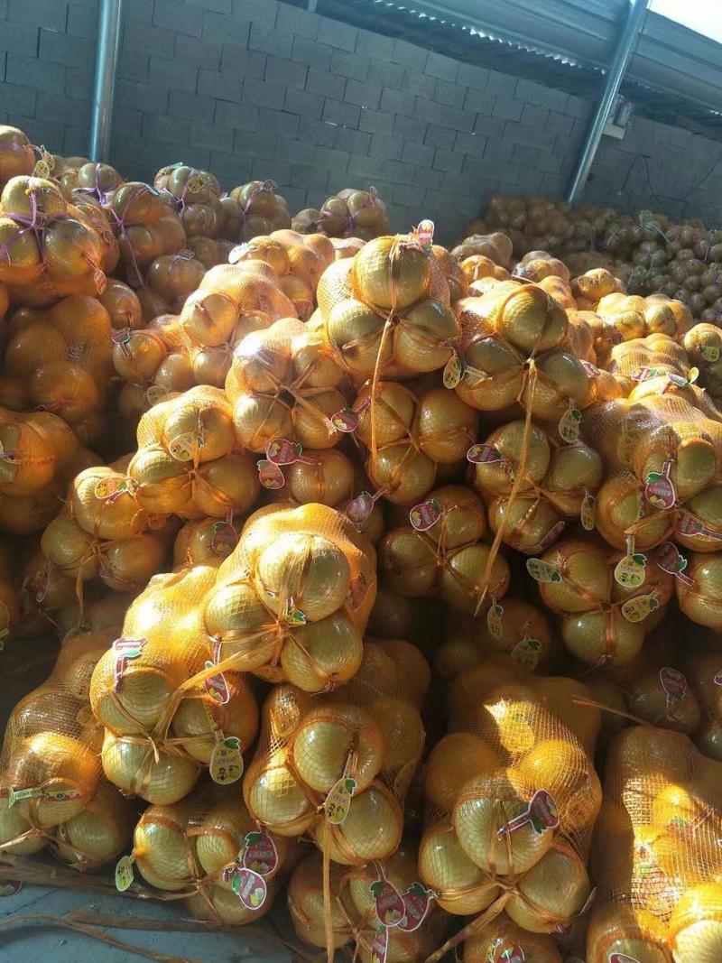 【一件代发】三红柚，湖南柚子，原产地发货，质量保证