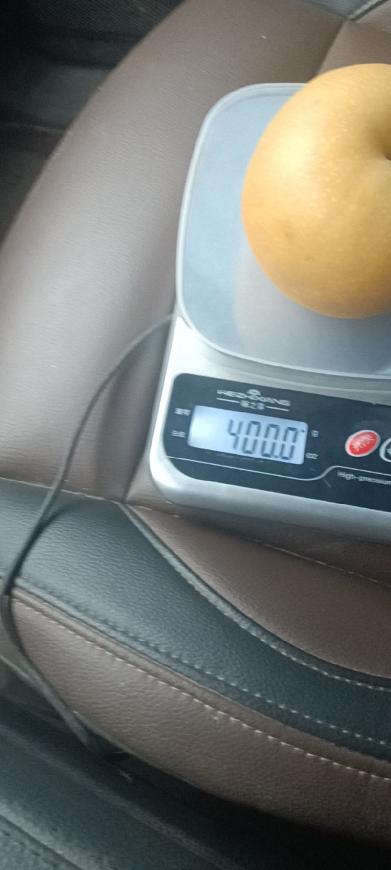 秋月梨
