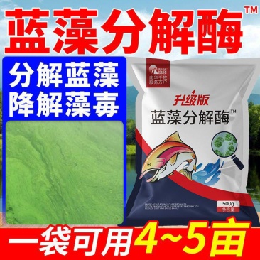 蓝藻分解素蓝藻速灭水产养殖小龙虾蟹鱼塘蓝藻分解酶除蓝藻毒